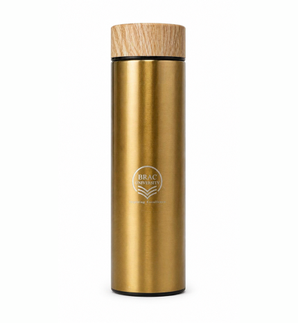 Bronze Flask