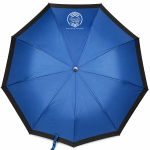 Blue Umbrella